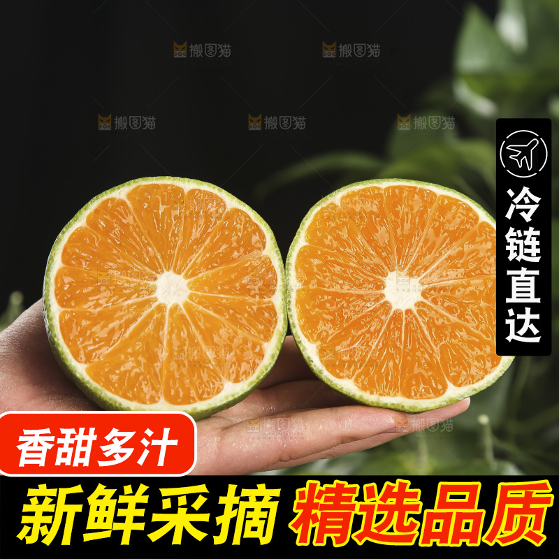 青皮蜜桔