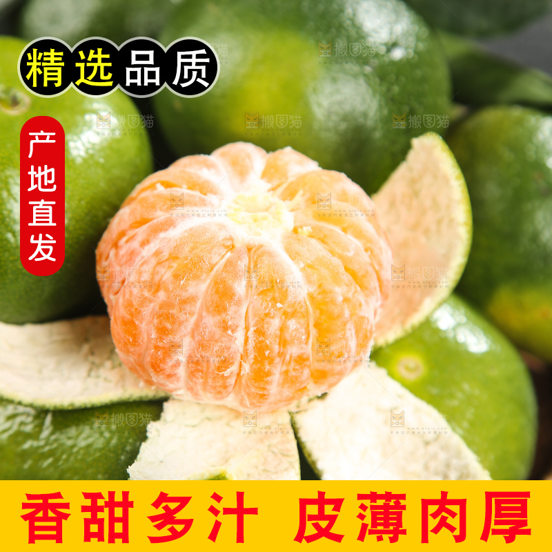 青皮蜜桔