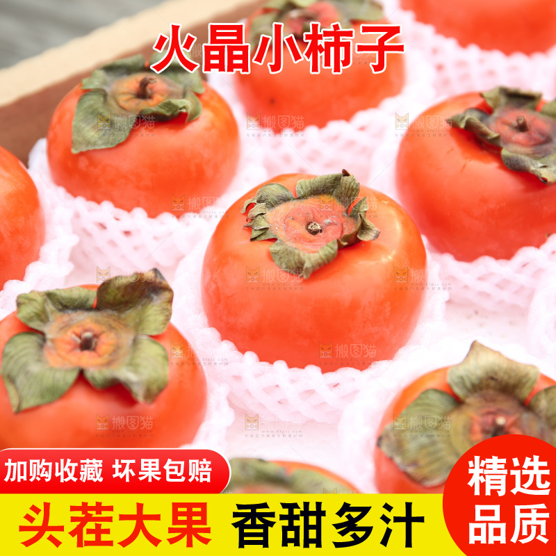 火晶柿子