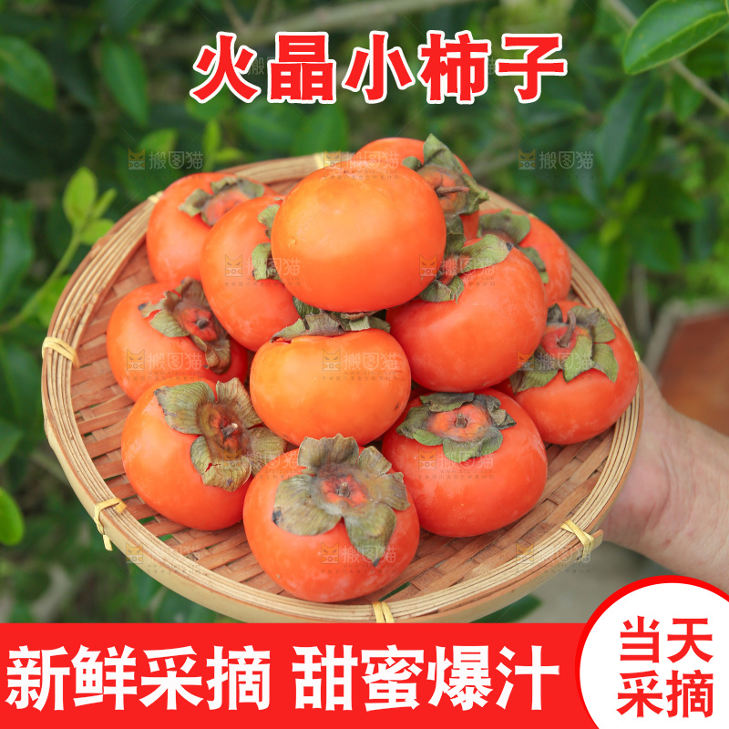 火晶柿子