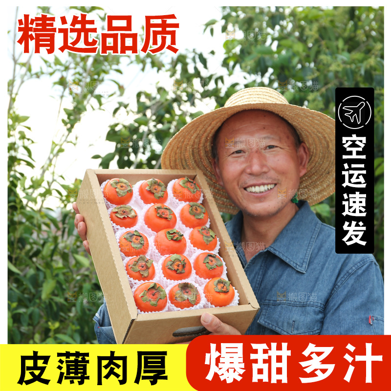 火晶柿子