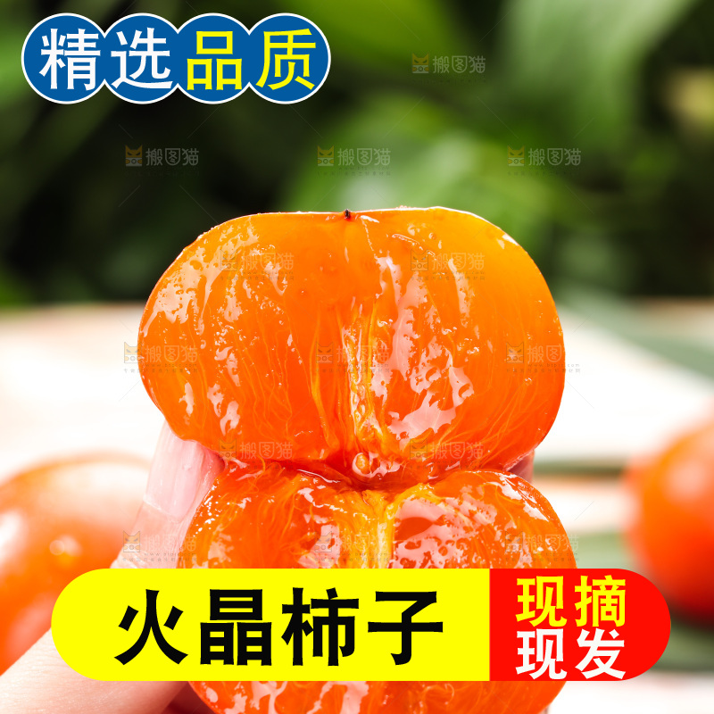 火晶柿子
