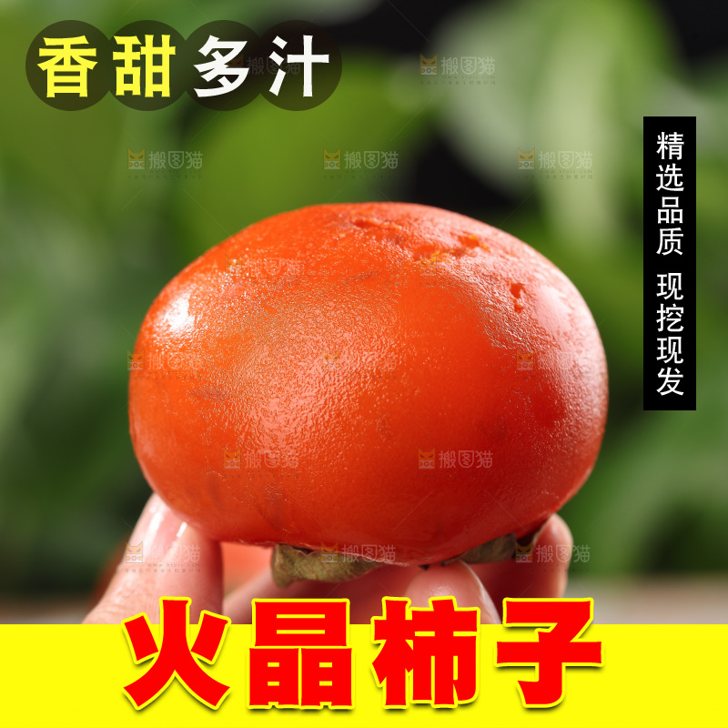 火晶柿子