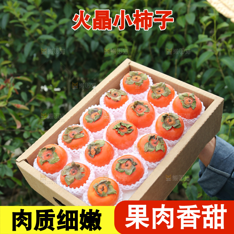 火晶柿子
