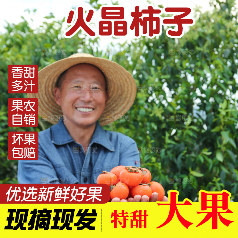 火晶柿子