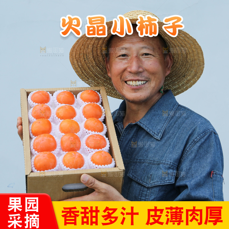 火晶柿子