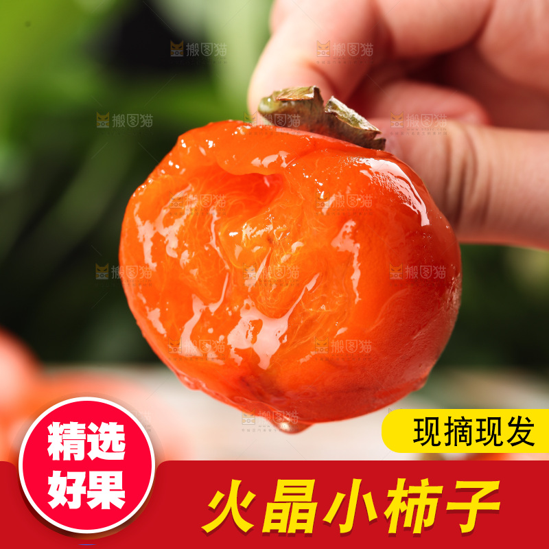 火晶柿子