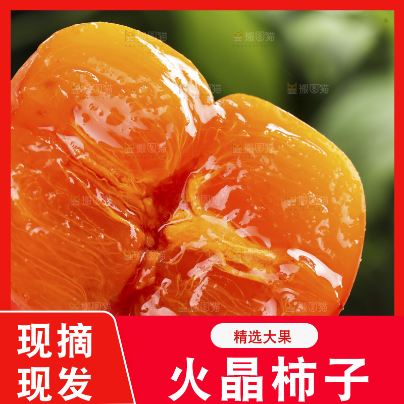 火晶柿子