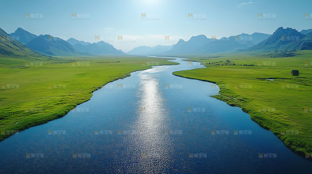 湿地栖息地沼泽自然环境保护区森林绿色