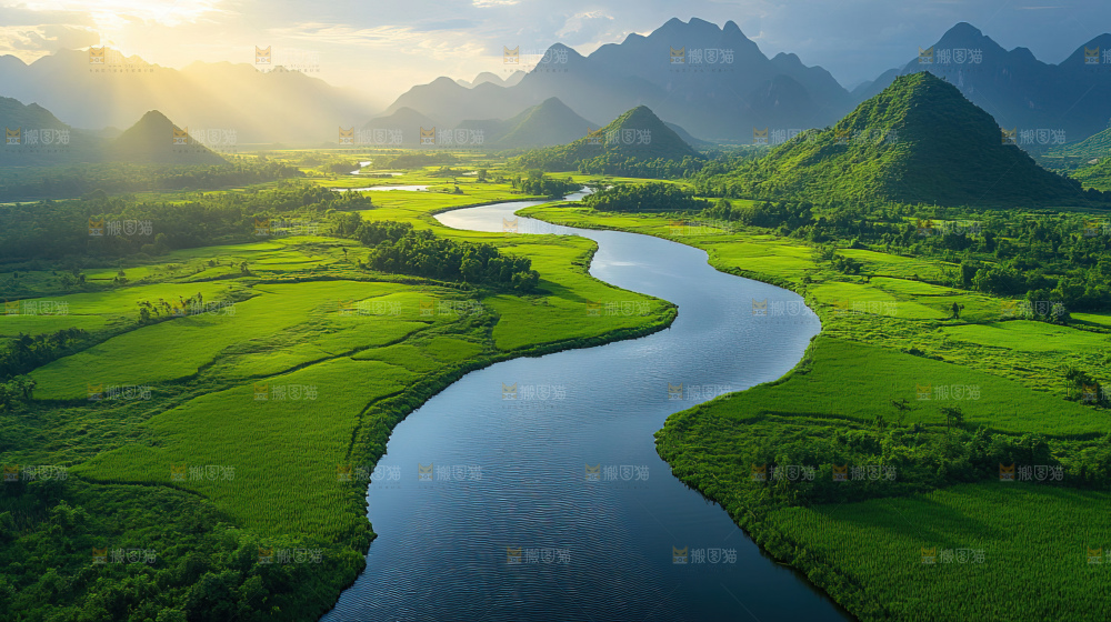 湿地栖息地沼泽自然环境保护区森林绿色