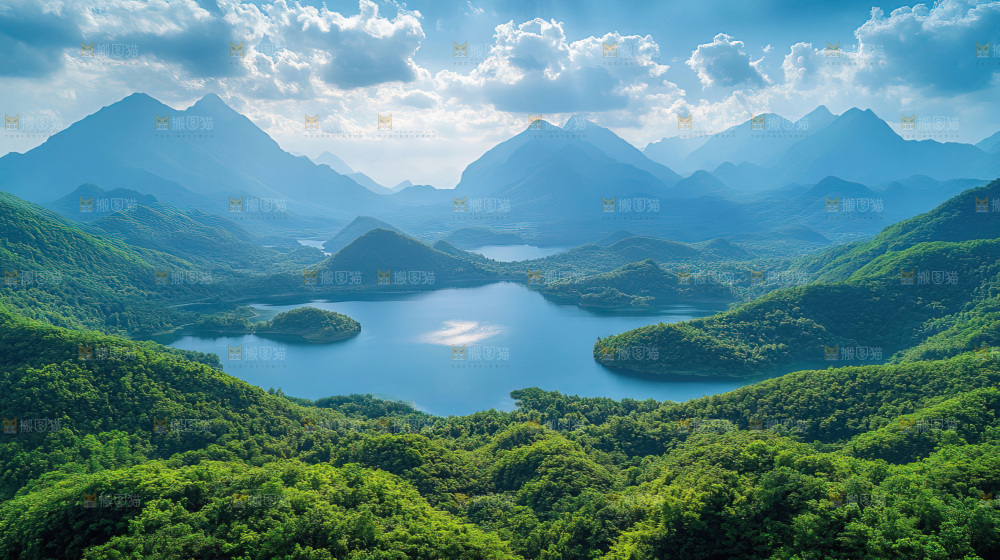 湿地栖息地沼泽自然环境保护区森林绿色
