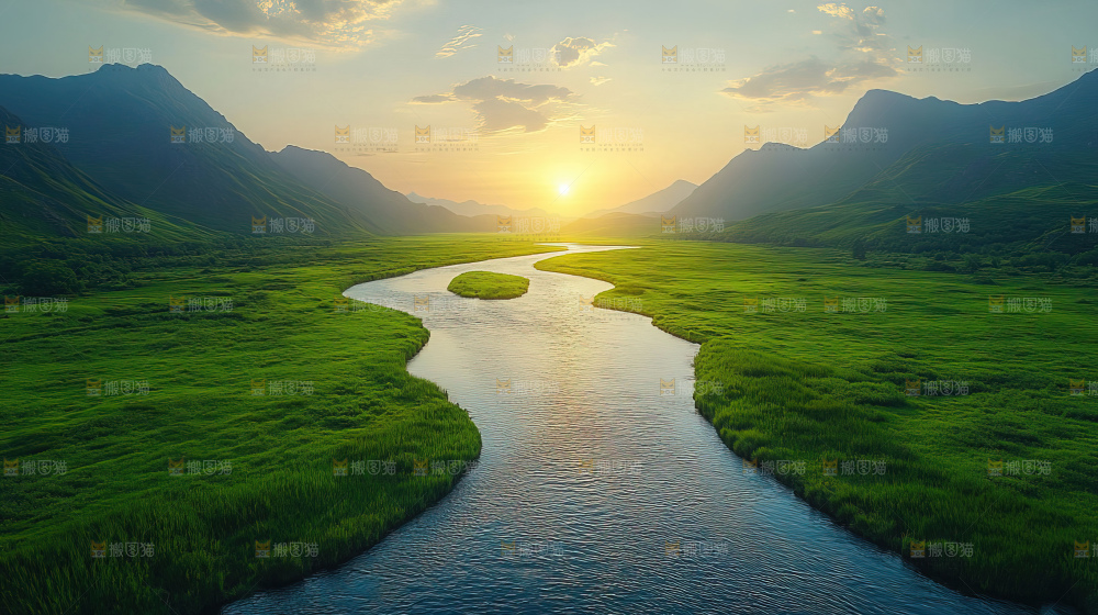 湿地栖息地沼泽自然环境保护区森林绿色