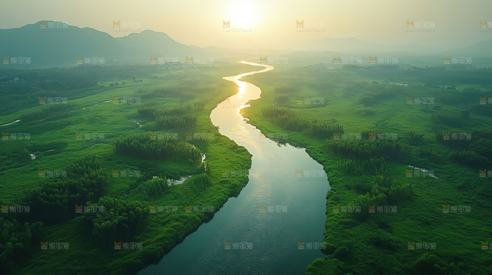 湿地栖息地沼泽自然环境保护区森林绿色