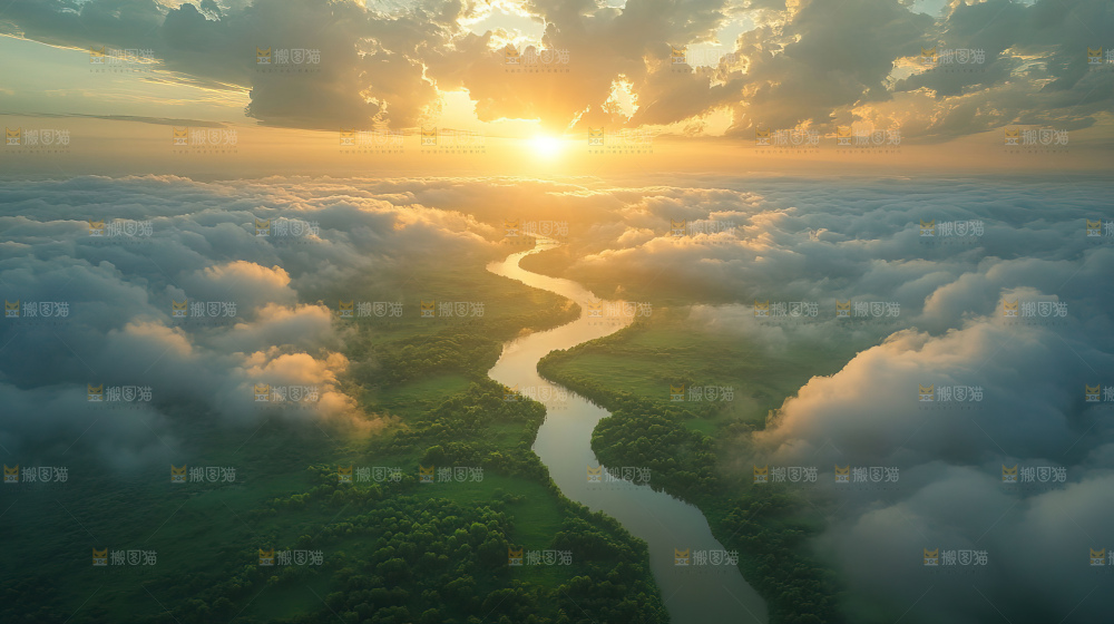 湿地栖息地沼泽自然环境保护区森林绿色
