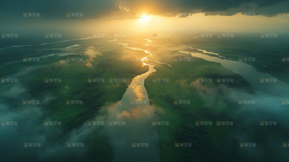 湿地栖息地沼泽自然环境保护区森林绿色