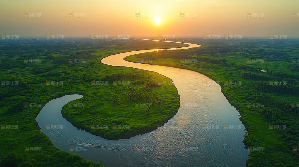 湿地栖息地沼泽自然环境保护区森林绿色
