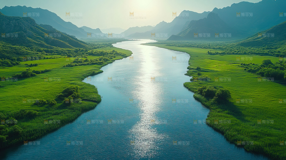 湿地栖息地沼泽自然环境保护区森林绿色