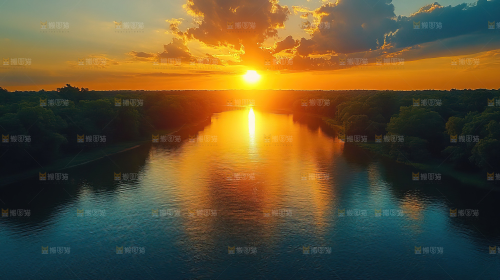 湿地栖息地沼泽自然环境保护区森林绿色