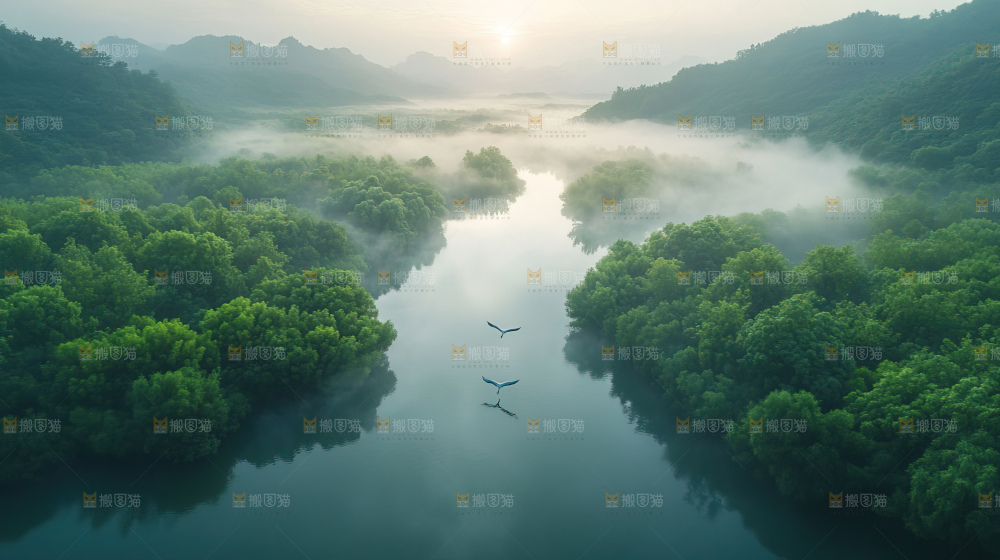 湿地栖息地沼泽自然环境保护区森林绿色