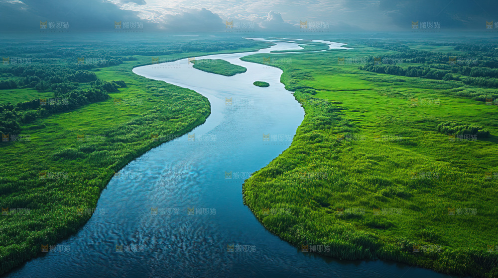 湿地栖息地沼泽自然环境保护区森林绿色