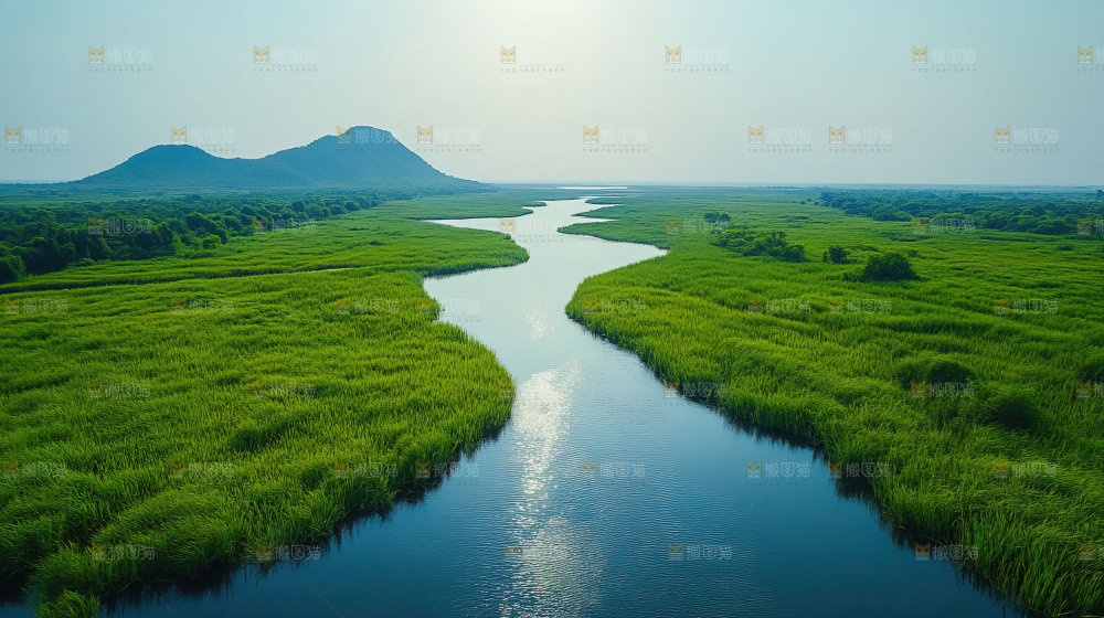 湿地栖息地沼泽自然环境保护区森林绿色