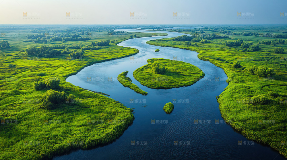 湿地栖息地沼泽自然环境保护区森林绿色