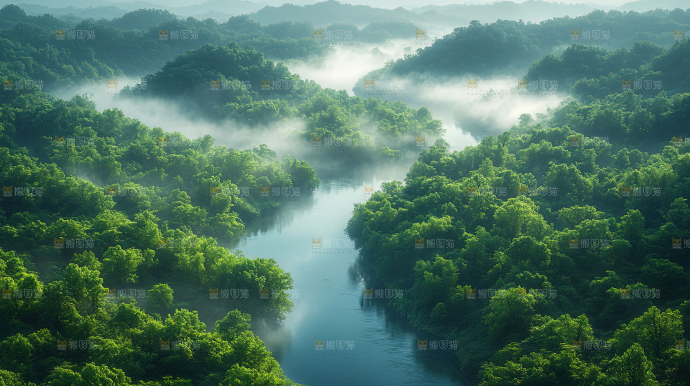 湿地栖息地沼泽自然环境保护区森林绿色