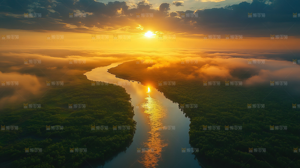 湿地栖息地沼泽自然环境保护区森林绿色