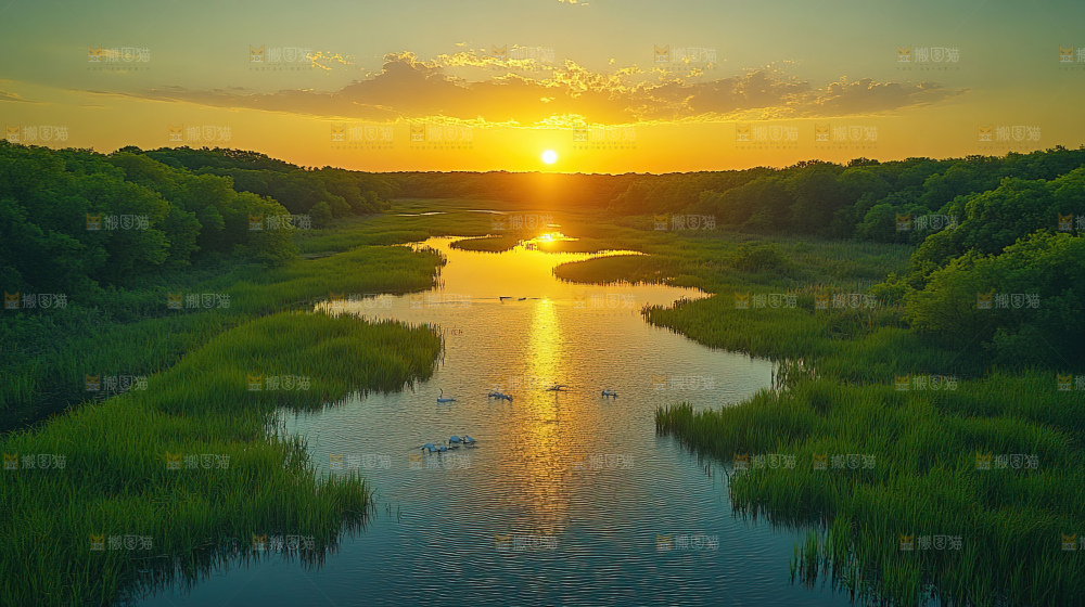 湿地栖息地沼泽自然环境保护区森林绿色