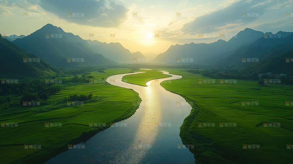 湿地栖息地沼泽自然环境保护区森林绿色