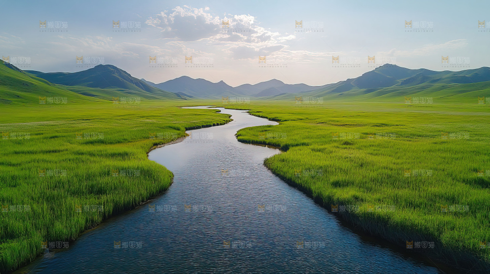 湿地栖息地沼泽自然环境保护区森林绿色