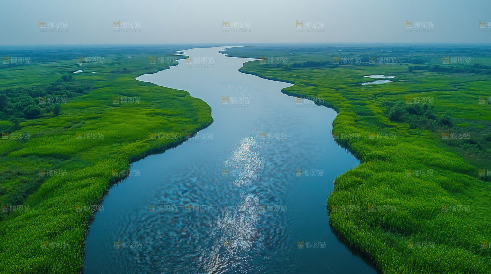 湿地栖息地沼泽自然环境保护区森林绿色