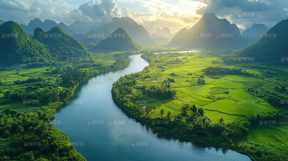 湿地栖息地沼泽自然环境保护区森林绿色