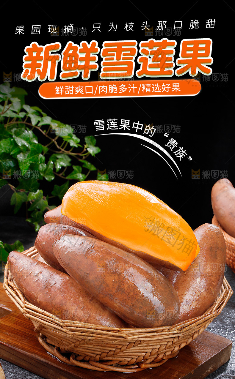 新鲜雪莲果详情页