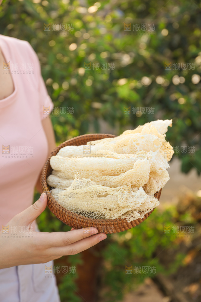 竹荪