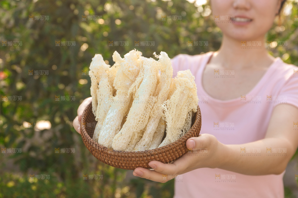 竹荪