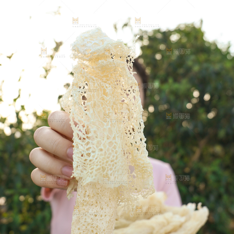 竹荪