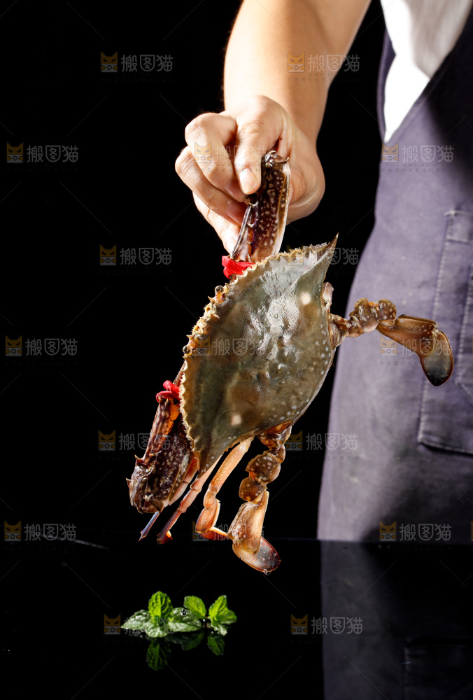梭子蟹