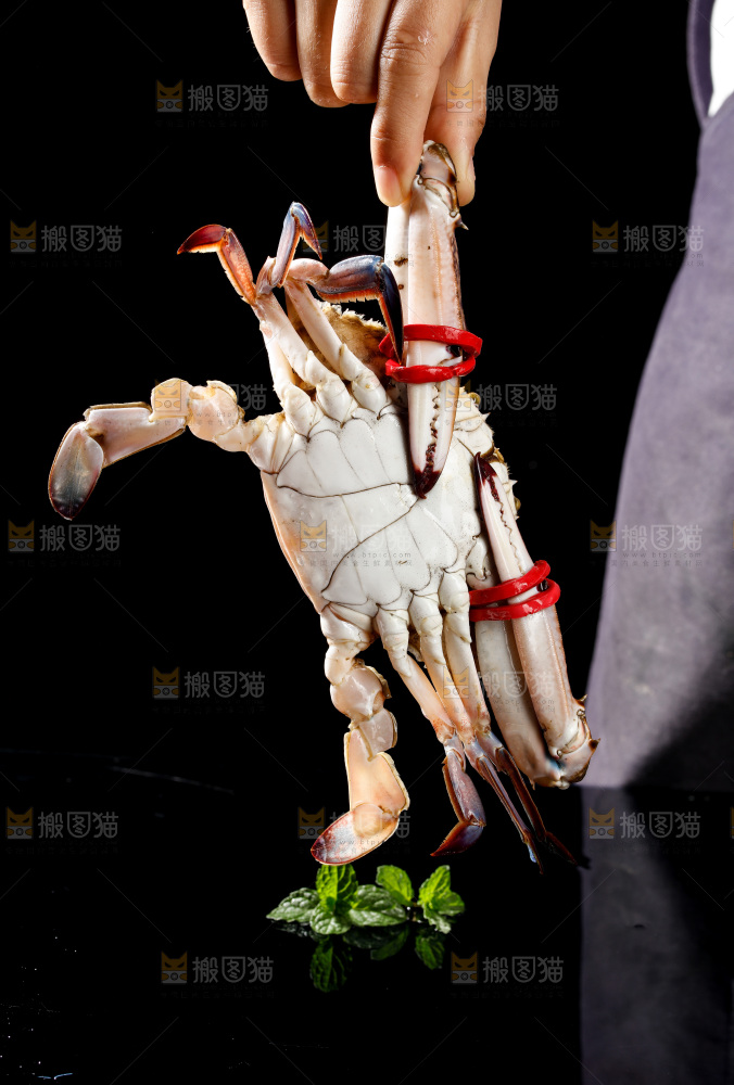 梭子蟹