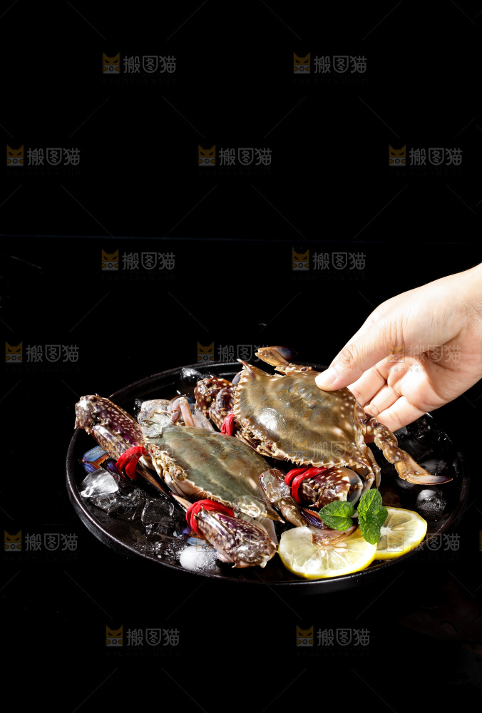 梭子蟹