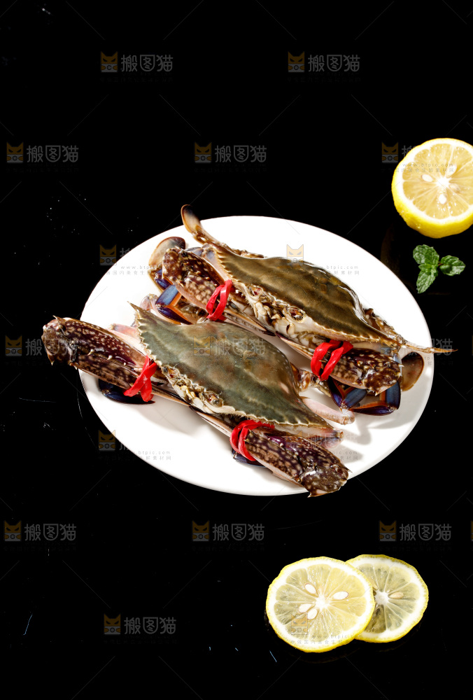 梭子蟹