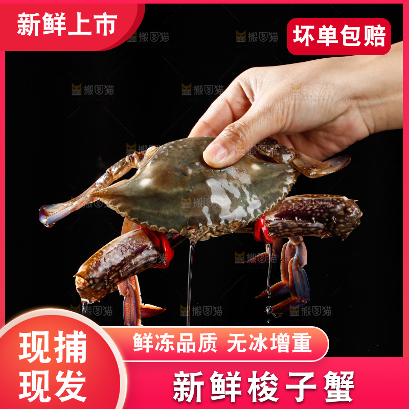 梭子蟹