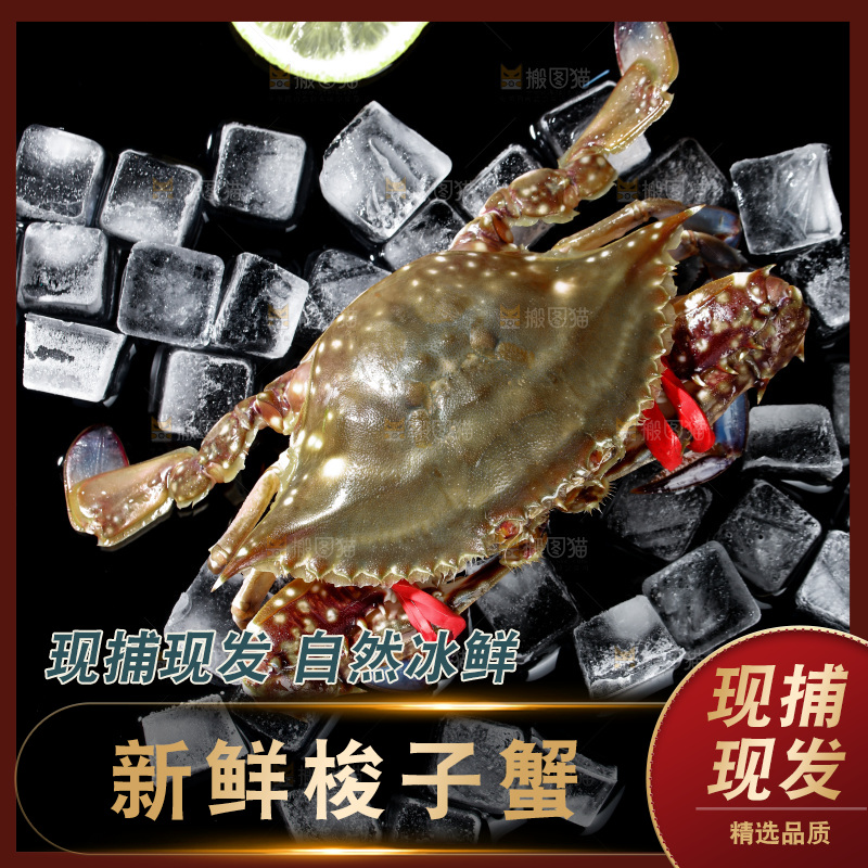 梭子蟹