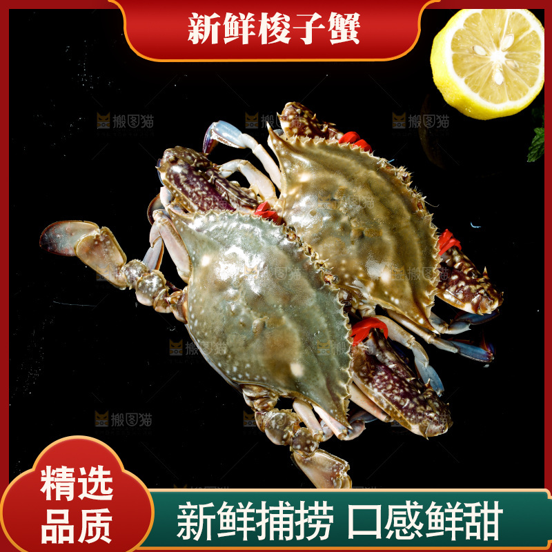 梭子蟹