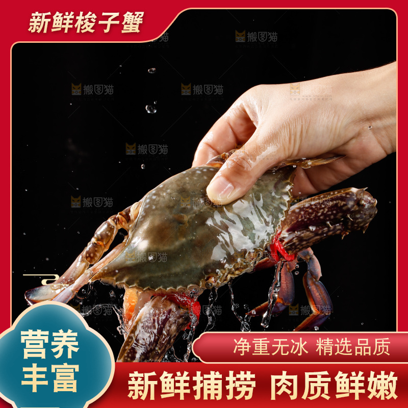 梭子蟹