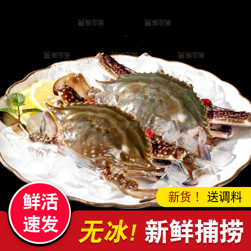 梭子蟹