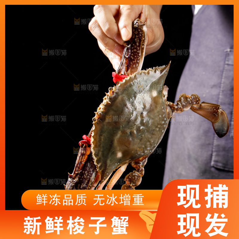 梭子蟹