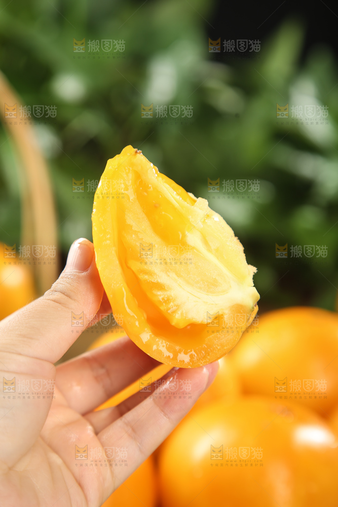 五原黄柿子