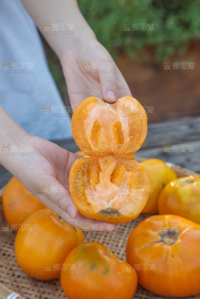 五原黄柿子