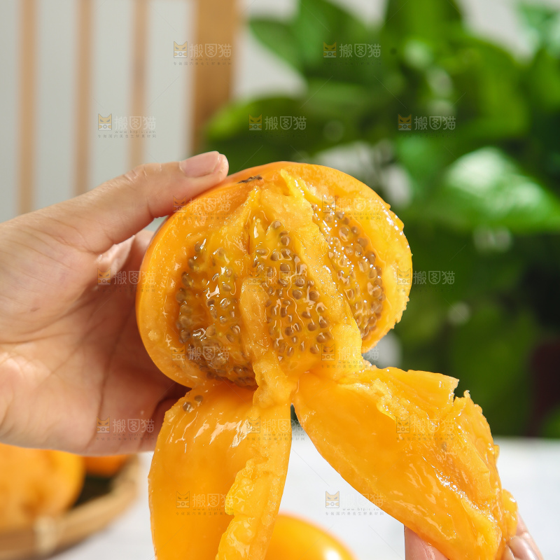 五原黄柿子